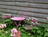 Pink garden table and chairs surrounded by blooming flowers against a wooden wall