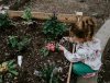 Child photographing flowers in a garden bed, capturing pink blooms with a smartphone